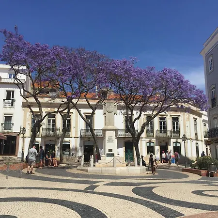 Vendégház Casa Creativa 3*