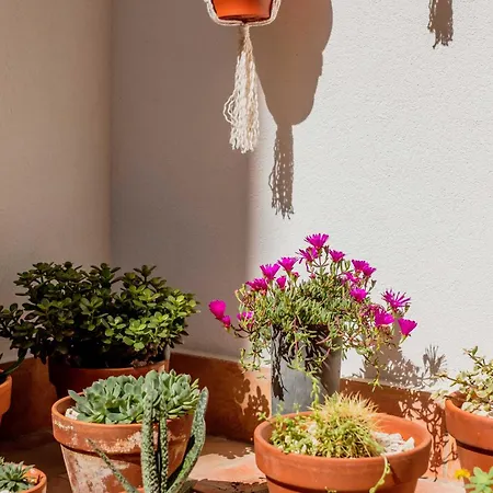 Pensjonat Casa Creativa Lagos