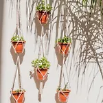 Casa Creativa 拉哥斯