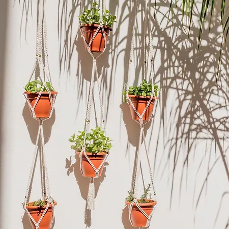 Casa Creativa 라고스