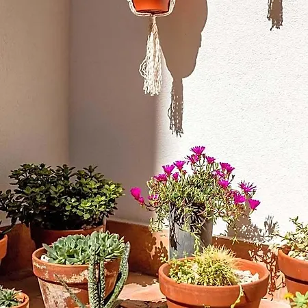 Affittacamere Casa Creativa Lagos