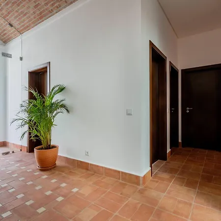 Penzion Casa Creativa 3*